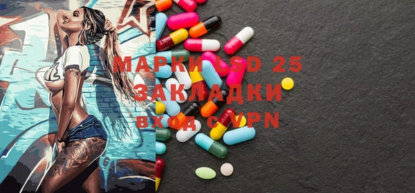 прущие грибы Абаза