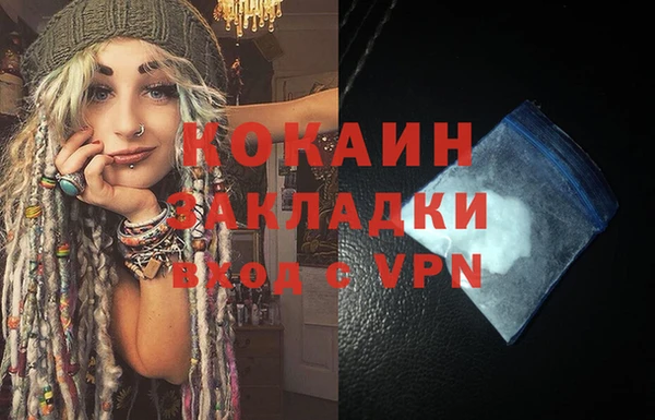 прущие грибы Абаза