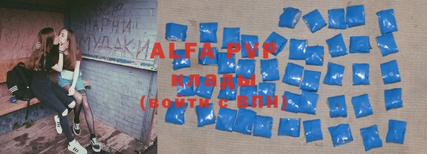 прущие грибы Абаза