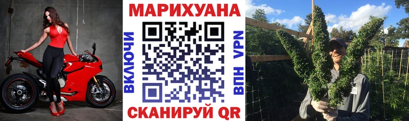 гидра вход  Рыльск  Бошки Шишки план 